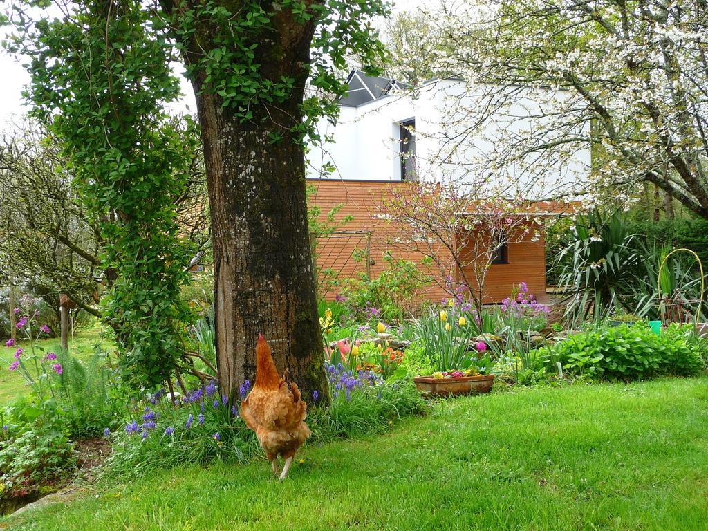 Le Jardin Aux Oiseaux Férel Quarto foto